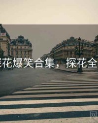 国产探花爆笑合集，探花全国高端