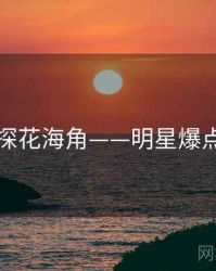国产探花海角——明星爆点特辑