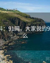 独家爆料：91网，大家说的91网是什么