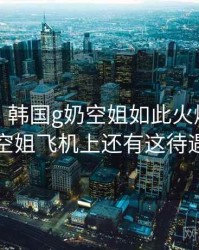 没想到！韩国g奶空姐如此火爆，韩国空姐飞机上还有这待遇