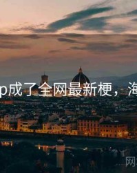 海角app成了全网最新梗，海角鹡鸰