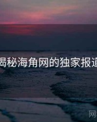 揭秘海角网的独家报道