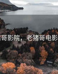 猪哥影院，老猪哥电影网