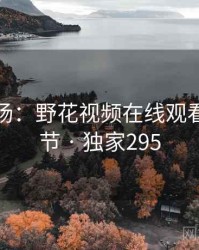 揭秘现场：野花视频在线观看相关细节 · 独家295