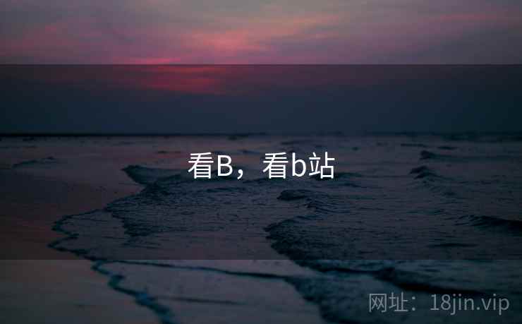 看B,看b站 看B,看b站