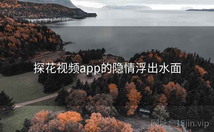 探花视频app的隐情浮出水面