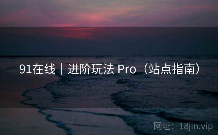91在线｜进阶玩法 Pro（站点指南）