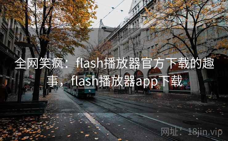 全网笑疯：flash播放器官方下载的趣事，flash播放器app下载